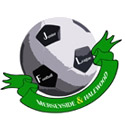 Merseyside & Halewood Junior Football League