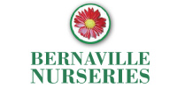 Bernaville Nurseries (Exeter & District Youth Football League)