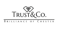 Trust & Co (Chester & District Junior Football League)