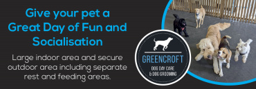 Greencroft Dog Day Care