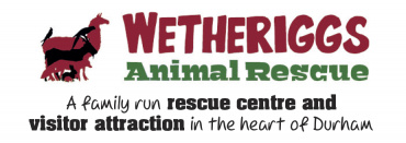 Wetheriggs Animal Rescue