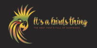 Its a Bird Thing Its a Bird Thing