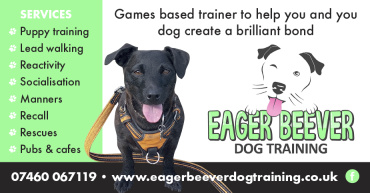 Eager Beever Dog Training