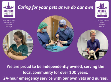 Shepton Vets