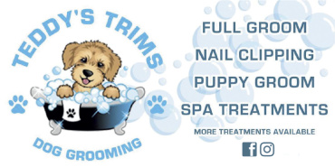 Teddy’s Trims Dog Grooming Teddy’s Trims Dog Grooming