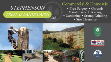 Stephenson Trees and Landscapes Limited