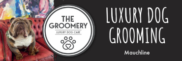 The Groomery Ltd The Groomery Ltd